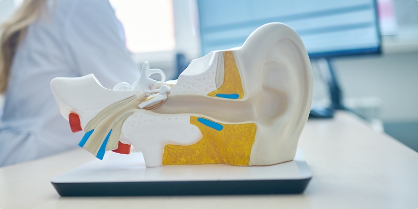 Creative Hearing Solutions (CHS) Blog